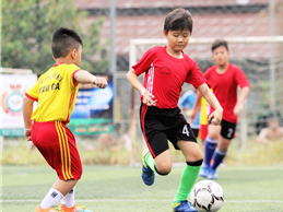 Image Mẹ cắt học thêm, khuyến khích con chơi thể thao ở năm học căng thẳng nhất